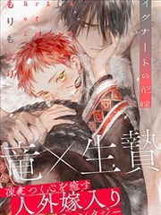 动漫樱花 樱色回廊 漫画封面